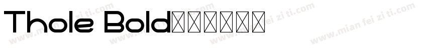 Thole Bold字体转换
